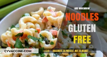 Are Macaroni Noodles Gluten-Free? A Clear Answer for Celiacs