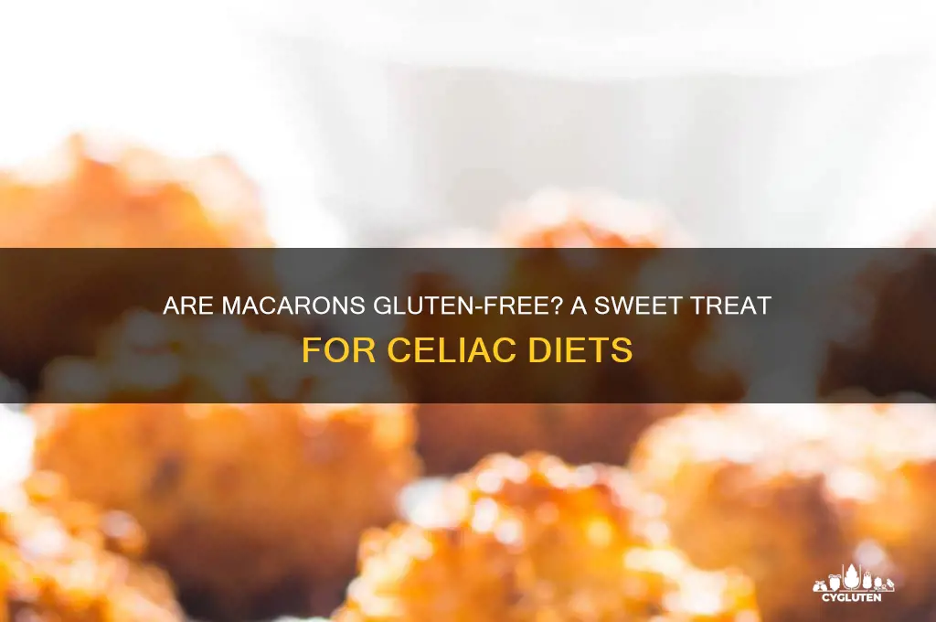 are maccaroons gluten free