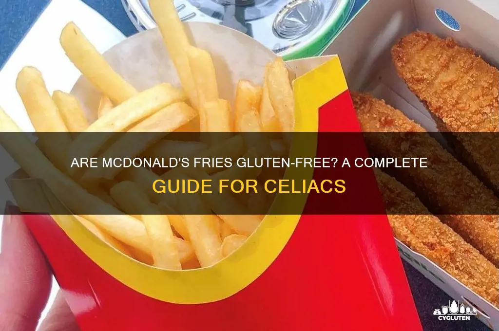 are macdonalds chips gluten free