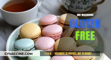 Are Macarons Gluten-Free? A Sweet Treat for Celiac Diets