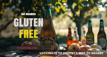 Are Magners Gluten-Free? A Complete Guide to Cider Safety