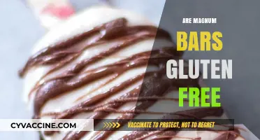 Are Magnum Bars Gluten-Free? A Complete Guide for Ice Cream Lovers