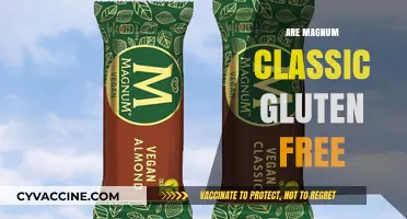 Are Magnum Classic Ice Creams Gluten-Free? A Complete Guide