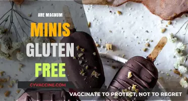 Are Magnum Minis Gluten Free? A Sweet Treat Guide
