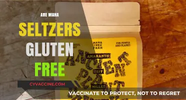 Are Maha Seltzers Gluten-Free? A Complete Guide for Celiacs