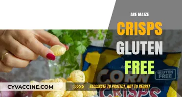Are Maize Crisps Gluten-Free? A Crunchy Snack Fact Check