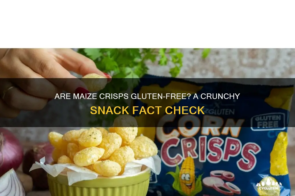 are maize crisps gluten free