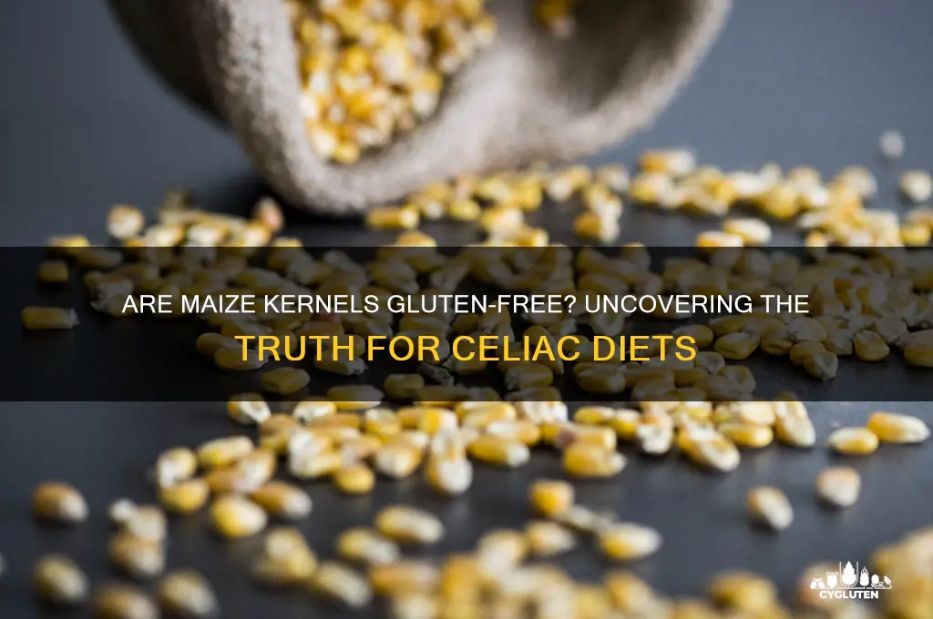 are maize kernels gluten free