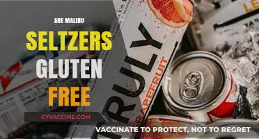 Are Malibu Seltzers Gluten Free? A Complete Guide for Drinkers