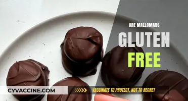 Are Mallomars Gluten-Free? A Sweet Treat Investigation