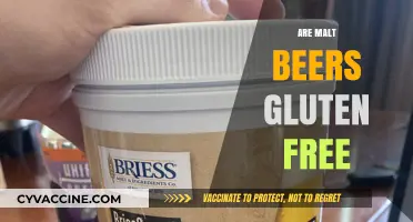 Are Malt Beers Gluten-Free? Unraveling the Truth for Celiac Sufferers