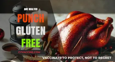 Is Malted Punch Gluten-Free? A Complete Guide to Ingredients