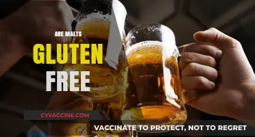 Are Malts Gluten-Free? Unraveling the Truth for Celiac Sufferers