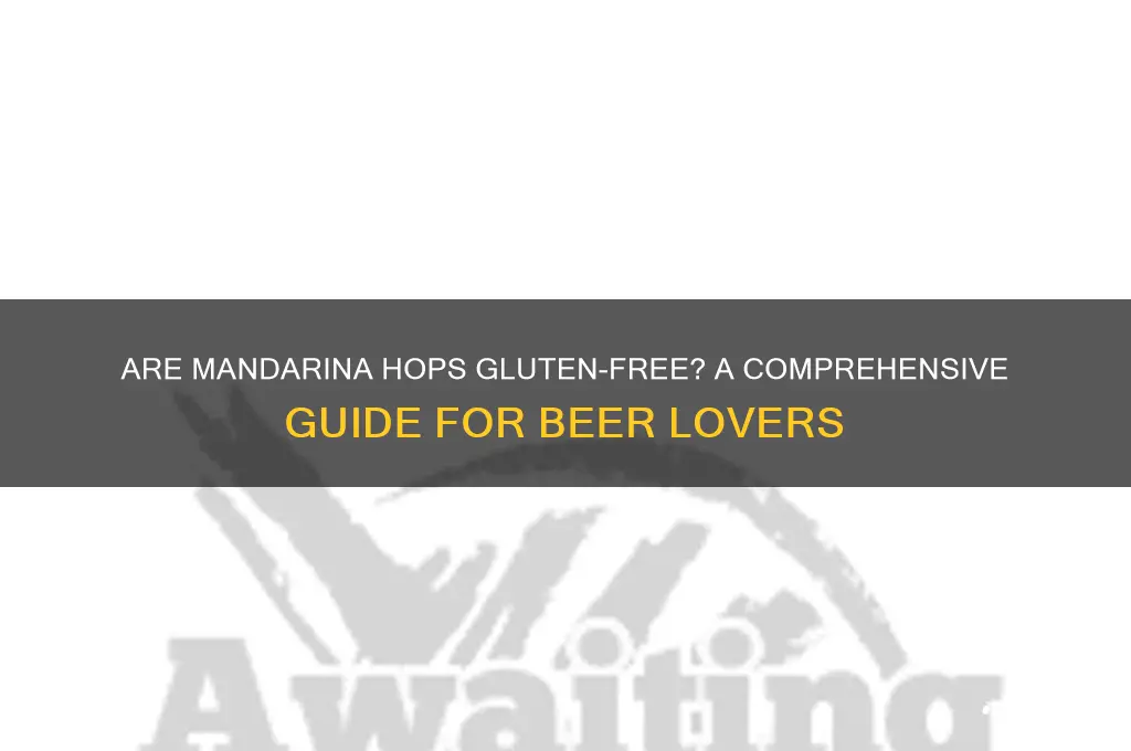 are mandarina hops gluten free
