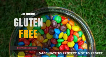 Are M&Ms Gluten-Free? A Sweet Snack Fact Check