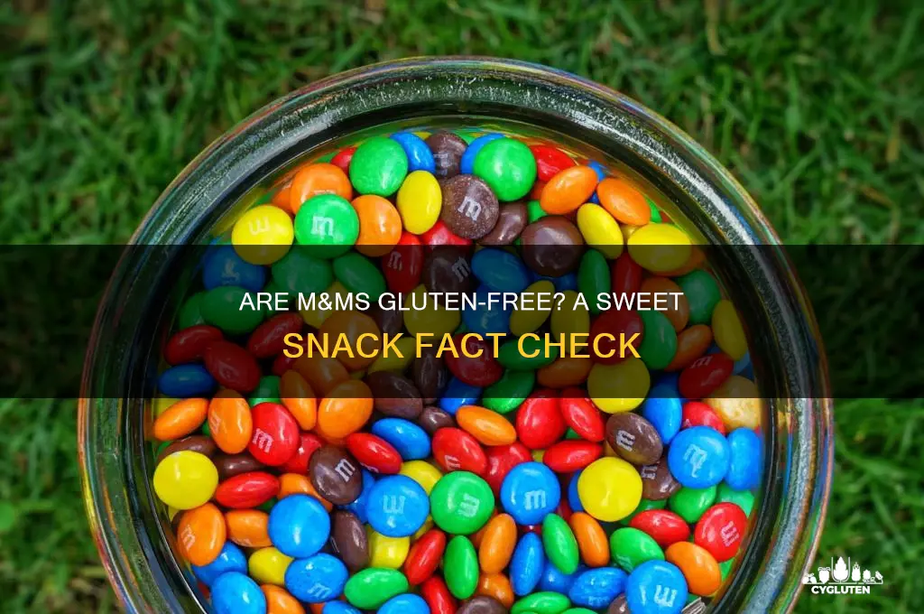 are mandms gluten free