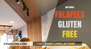 Are Maoz Falafels Gluten-Free? A Complete Guide for Celiacs