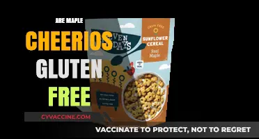 Are Maple Cheerios Gluten-Free? A Complete Guide for Celiac Diets