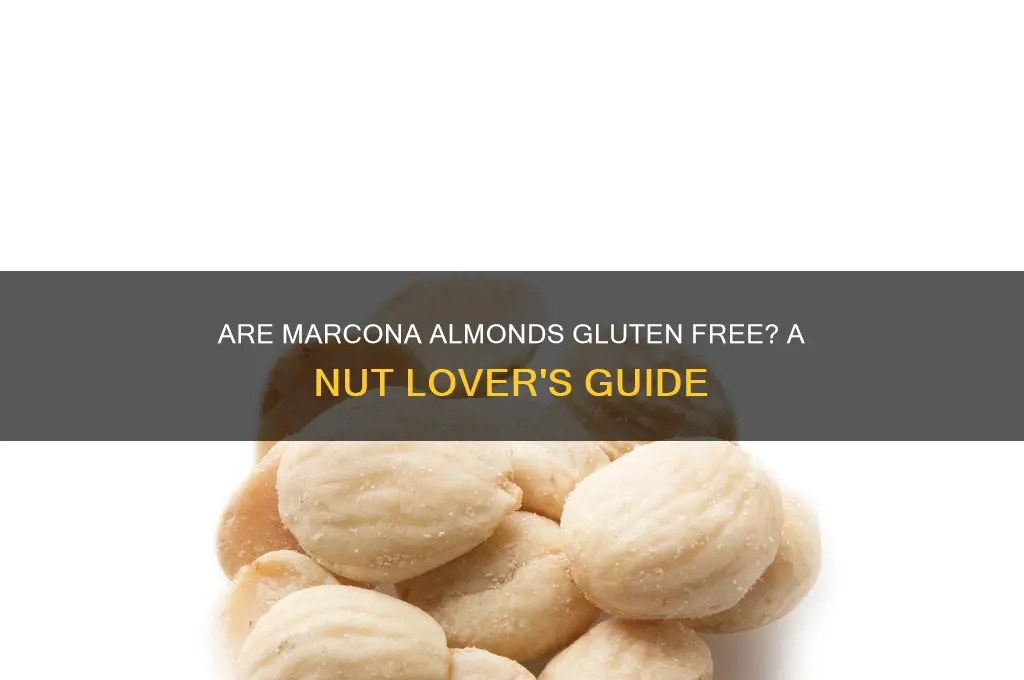 are marcona almonds gluten free