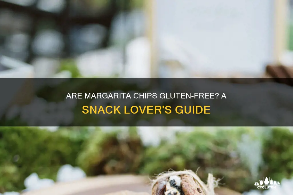 are margaritas chips gluten free