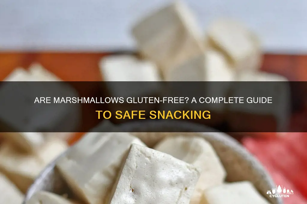 Are Marshmallows Gluten-Free? A Complete Guide To Safe Snacking | CyGluten