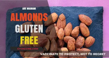 Are Mariani Almonds Gluten-Free? A Comprehensive Guide for Snackers