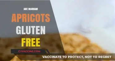 Are Mariani Apricots Gluten-Free? A Complete Nutritional Guide