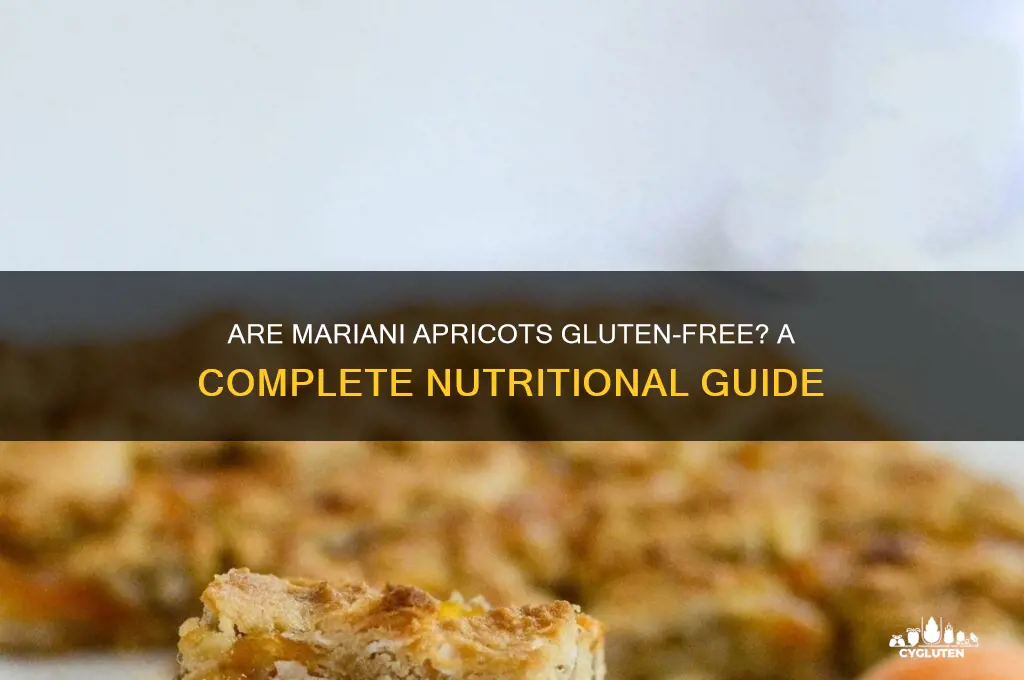 are mariani apricots gluten free