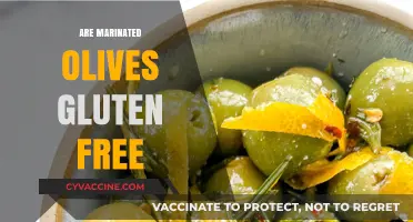 Are Marinated Olives Gluten-Free? A Complete Guide for Celiacs