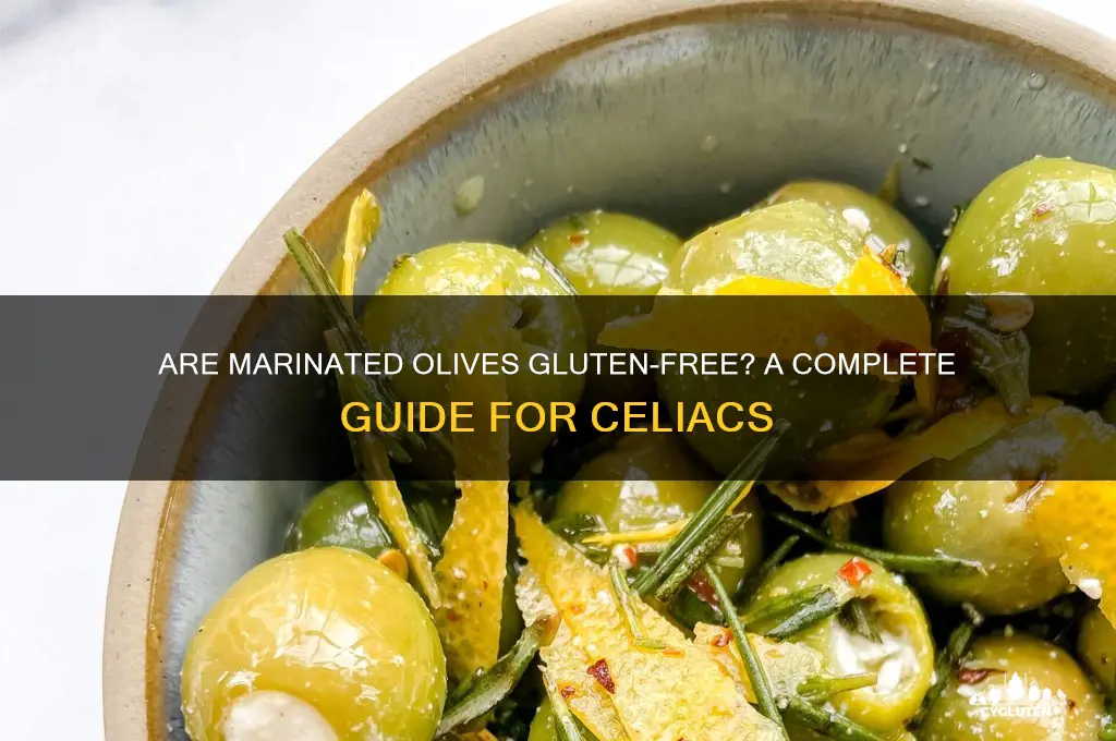 are marinated olives gluten free