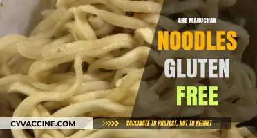 Are Maruchan Noodles Gluten-Free? A Complete Guide for Celiacs