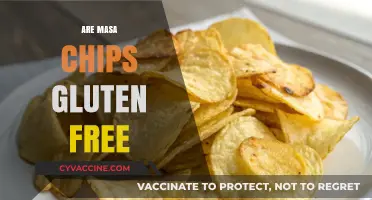Are Masa Chips Gluten-Free? A Crunchy Snack Fact Check