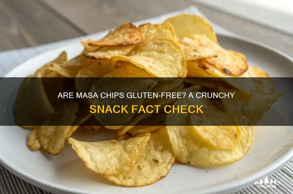 are masa chips gluten free