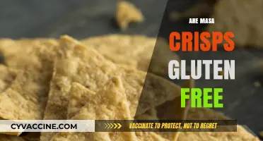 Are Masa Crisps Gluten-Free? A Crunchy Snack Fact Check