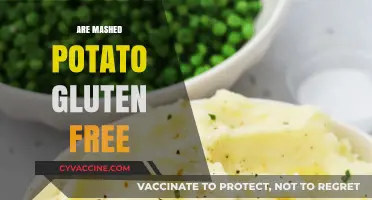 Are Mashed Potatoes Gluten-Free? A Complete Guide for Celiacs
