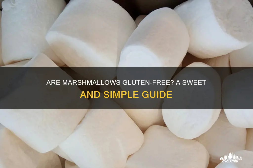 Are Marshmallows Gluten-Free? A Sweet And Simple Guide | CyGluten