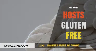 Are Mass Hosts Gluten-Free? Exploring Options for Celiac Worshipers