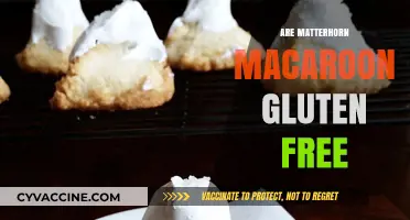 Are Matterhorn Macaroons Gluten-Free? A Delicious Alpine Treat Explored