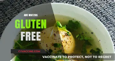 Are Matzos Gluten-Free? Unraveling the Truth for Celiac Diets