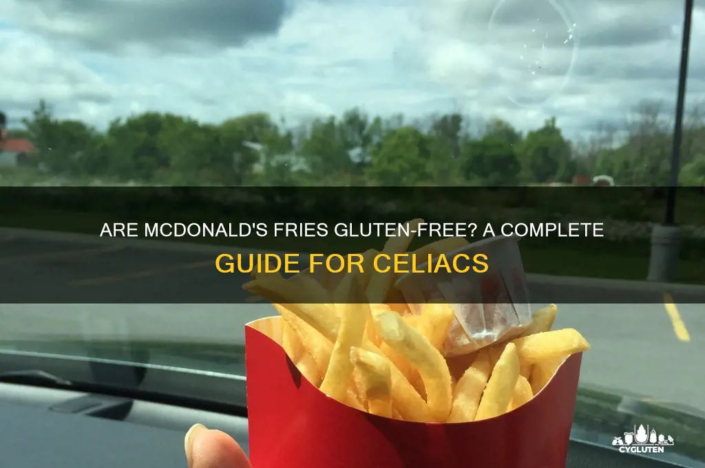 are mcd fries gluten free
