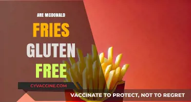 Are McDonald's Fries Gluten-Free? A Complete Guide for Celiac Diners