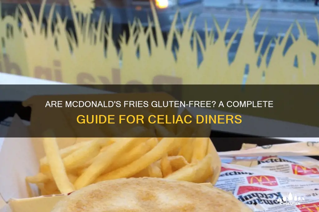 are mcdonald fries gluten free