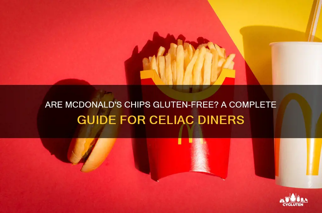 are mcdonalds chips gluten free