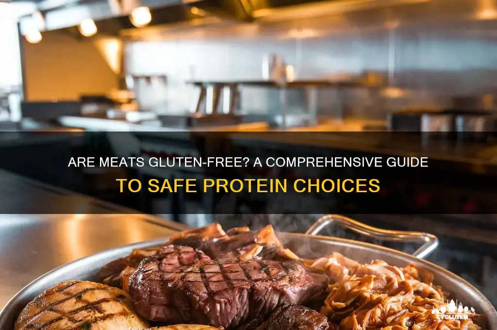 are meats gluten free