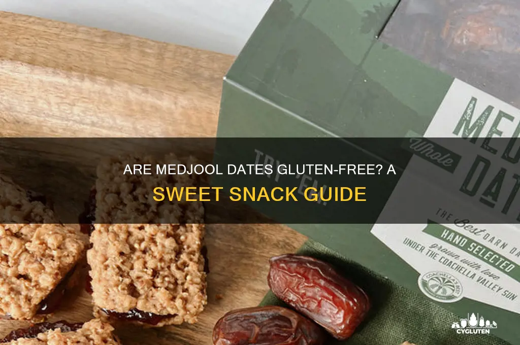 are medjool dates gluten free