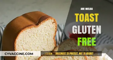 Is Melba Toast Gluten-Free? A Crunchy Snack Fact Check