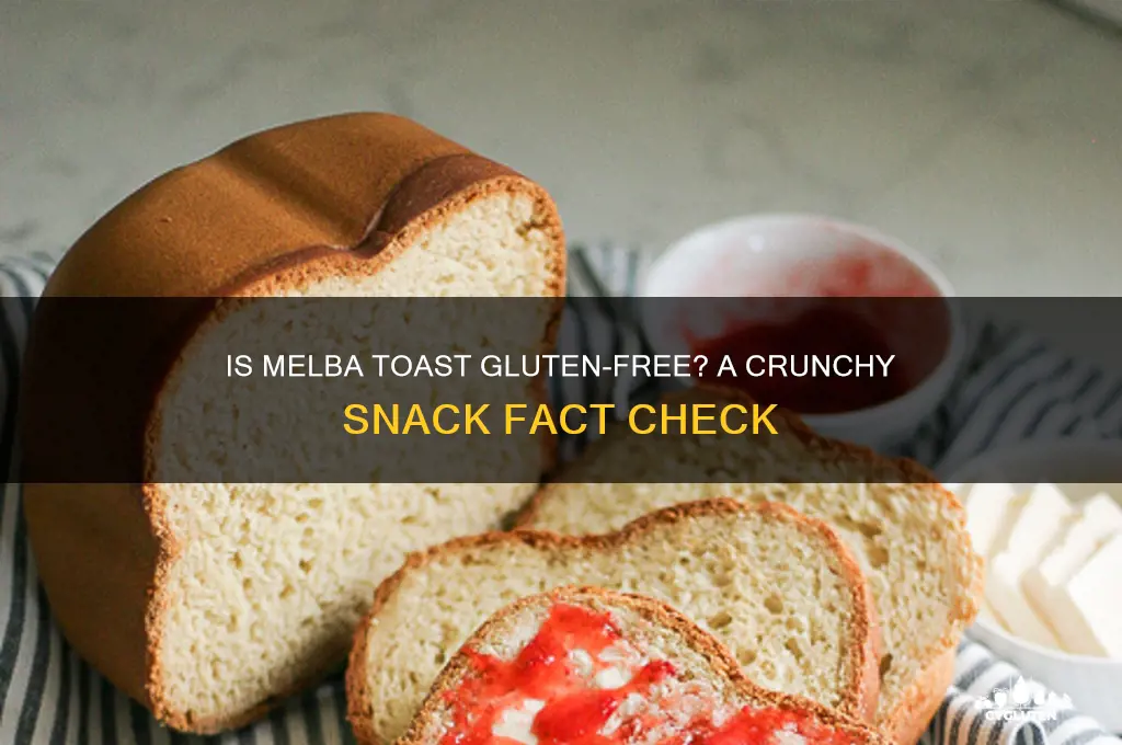 are melba toast gluten free