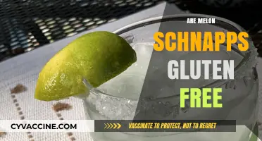 Is Melon Schnapps Gluten-Free? A Complete Guide for Drinkers