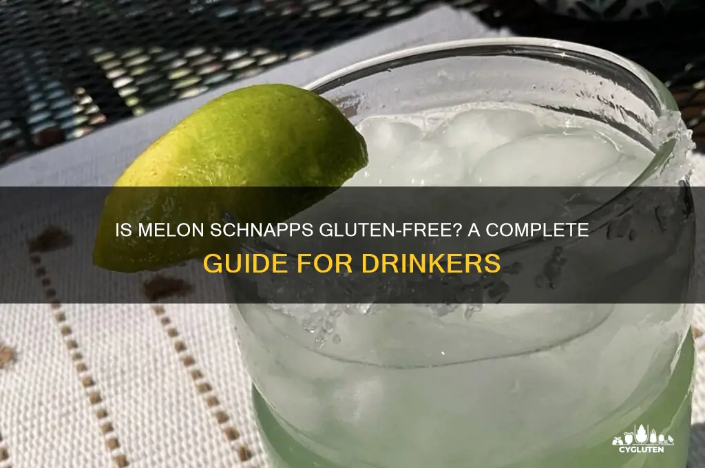 are melon schnapps gluten free