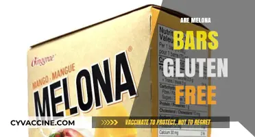 Are Melona Bars Gluten-Free? A Complete Guide for Ice Cream Lovers